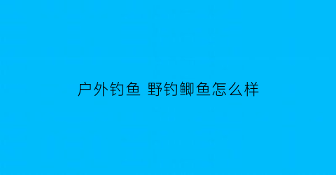 户外钓鱼野钓鲫鱼怎么样(户外钓鱼野钓鲫鱼怎么样才能钓到)